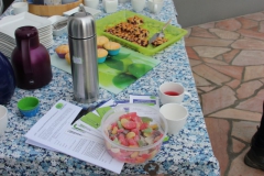 Ortsbegehung_RegenerativeEnergien_17