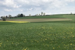 Wanderung18